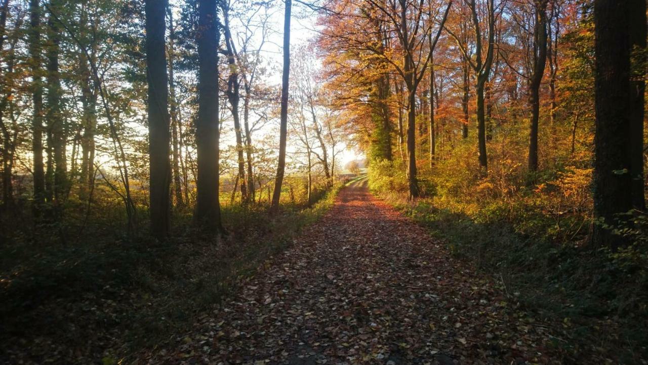 Petit Bonheur Villa Oudenaarde Kültér fotó